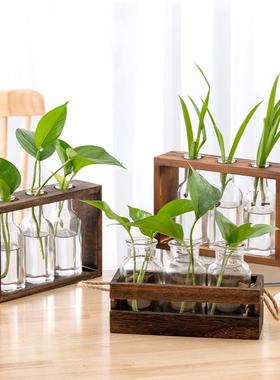 水培植物木架家居办公室桌面水养植物插花摆件大开口木框玻璃花瓶