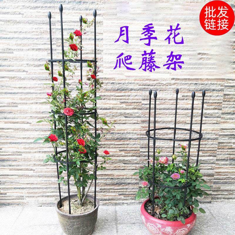月季花架爬藤架花支架玫瑰花架植物攀爬藤架子阳台铁线莲园艺欧式