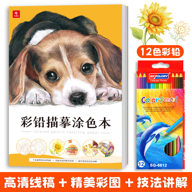【赠彩铅】彩铅描摹涂色本彩铅上色高清线稿临摹画册 240g彩铅绘画专用纸 附配色表 彩铅画零基础入门 飞乐鸟