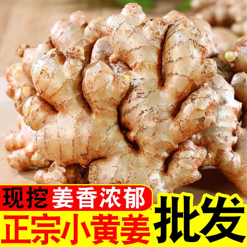 云南小黄姜新鲜嫩姜食用生姜子姜现挖带泥土包邮2斤/3斤/5斤/9斤