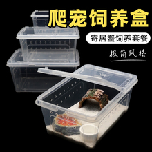 爬宠塑料带盖饲养盒箱～小中大号相守蟹寄居蟹新手饲养套装套餐