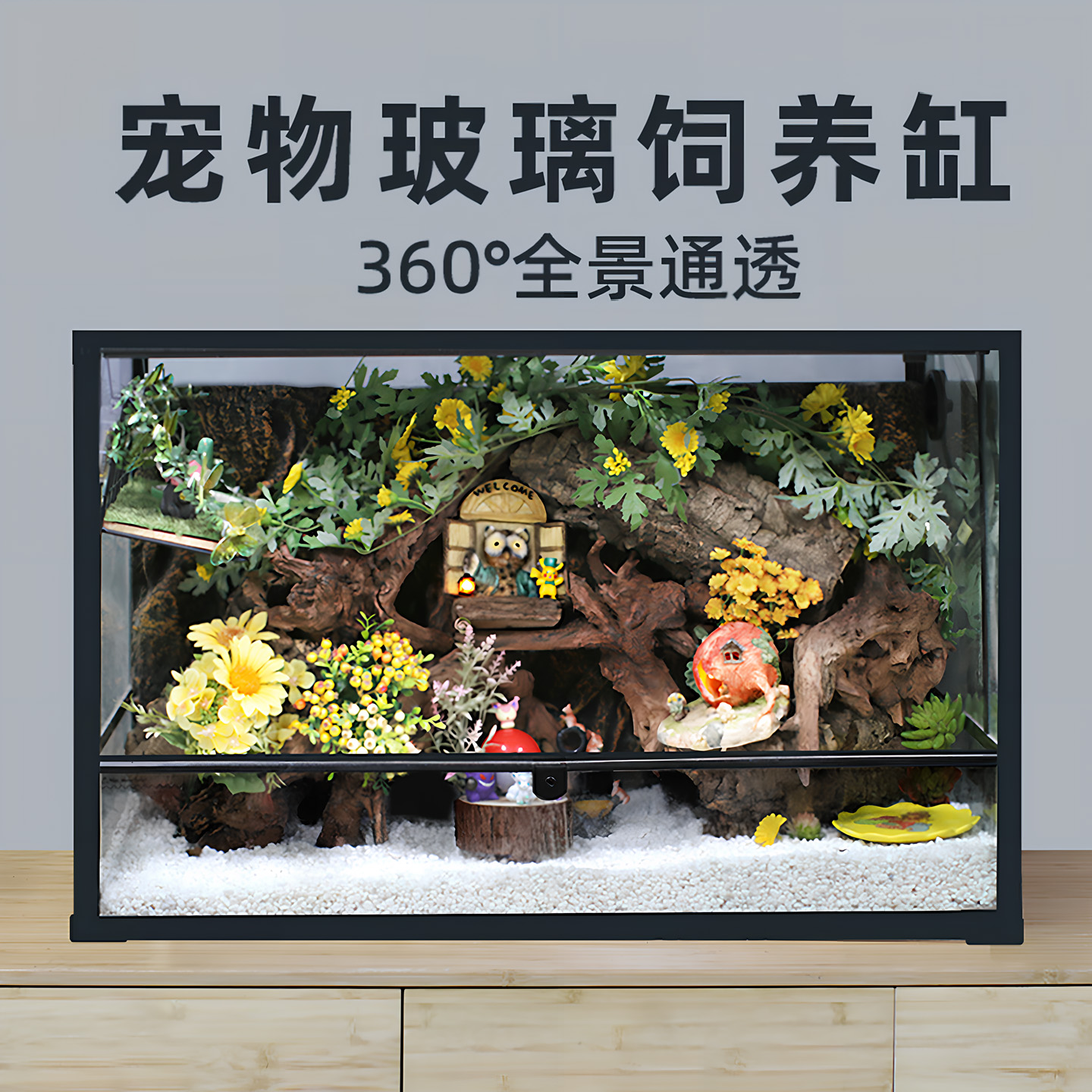 寄居蟹造景玻璃缸～多尺寸