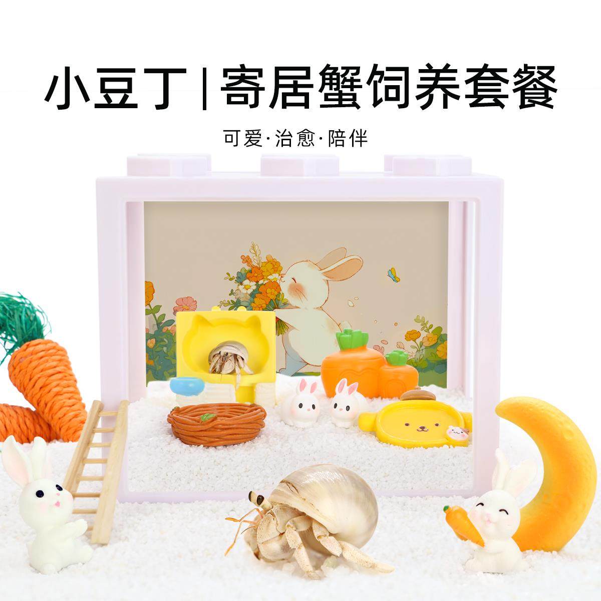 陌派可爱豆丁寄居蟹饲养套装套餐～饲养盒箱办公桌面萌宠儿童礼物