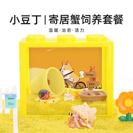 陌派可爱豆丁寄居蟹饲养套装套餐～饲养盒箱办公桌面萌宠儿童礼物