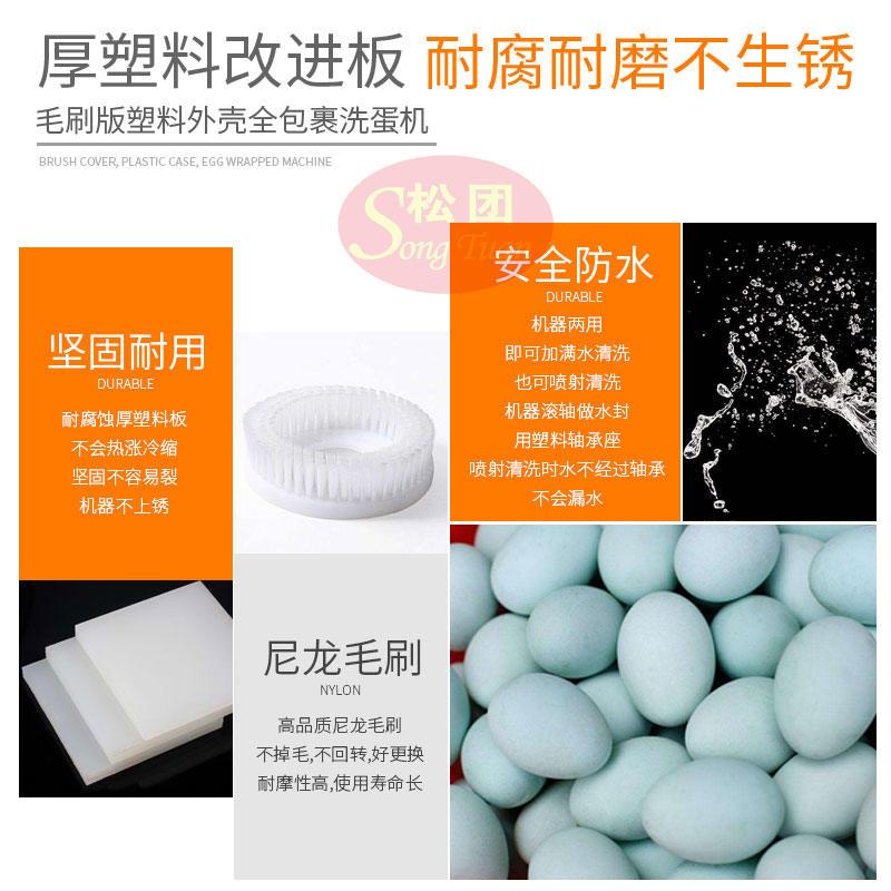 极速单/双排洗蛋机n毛刷版塑料全包裹新款两用型清洗鸡鸭咸蛋速度