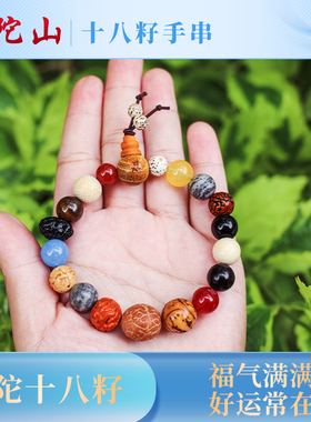极速普陀山十八籽j真品菩提手串女杭州十八子念珠佛珠18籽转运珠