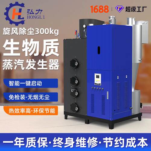 弘力 300KG旋风除尘生物质锅炉 商用立式节能蒸汽发生器锅炉工厂