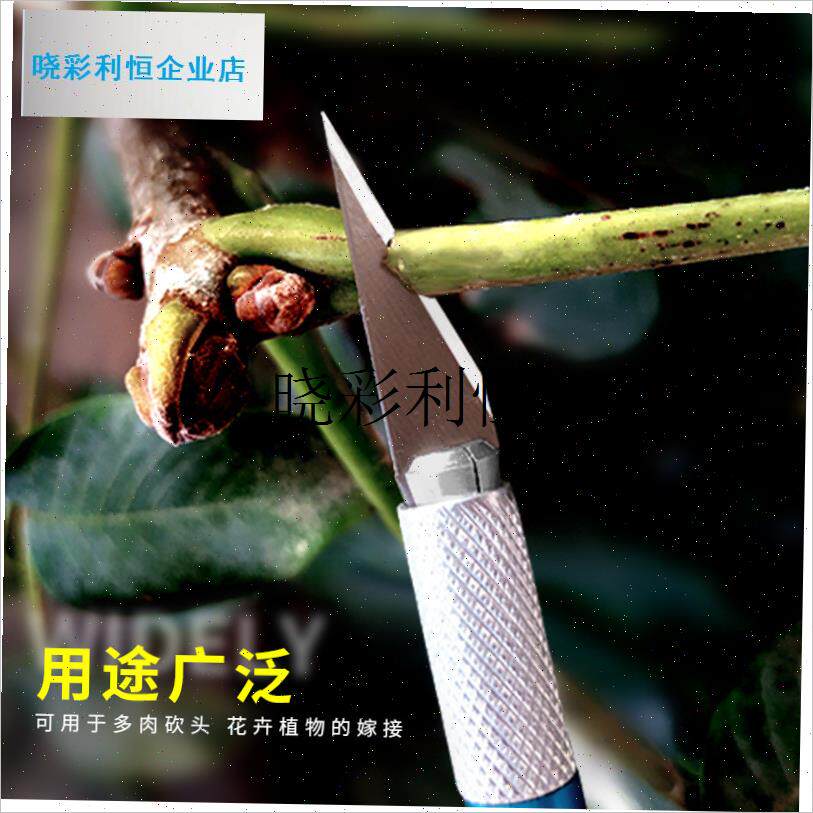多肉砍头刀嫁接刀芽接刀工v具雕刻月季蟹爪兰嫁接十二卷嫁接专用l