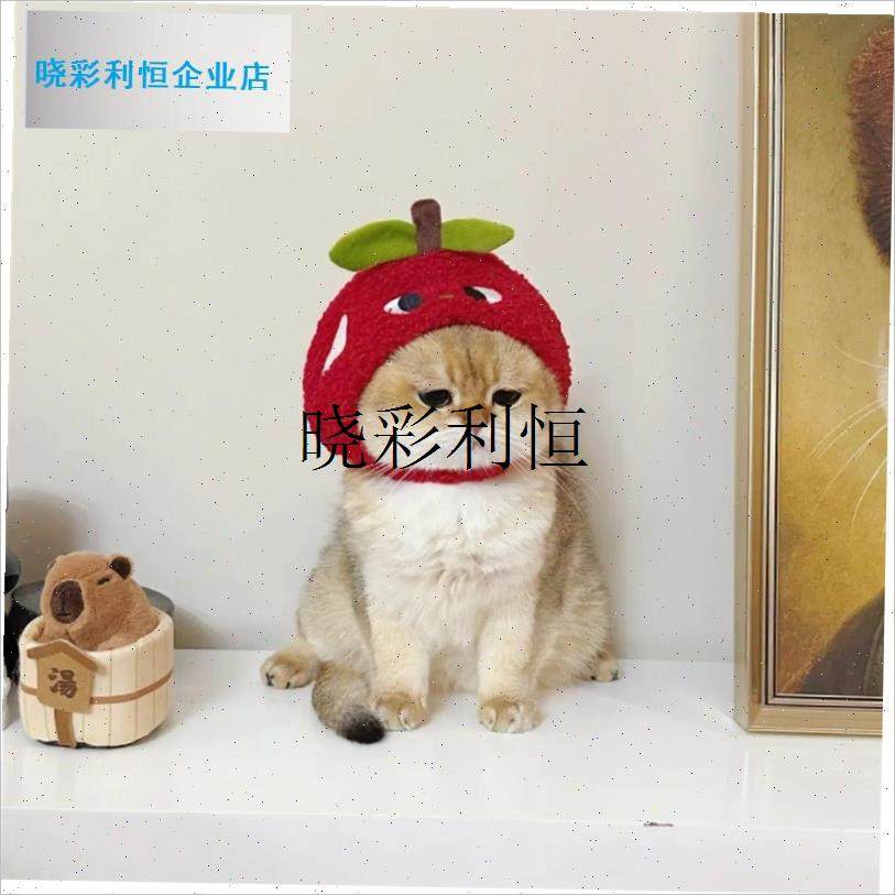 宠物头套可爱搞怪k狗狗装扮向日葵头饰假发猫咪万圣节道具帽子饰l,宠物/宠物食品及用品,帽子,淘宝优惠券,粉丝福利购,淘宝优惠卷