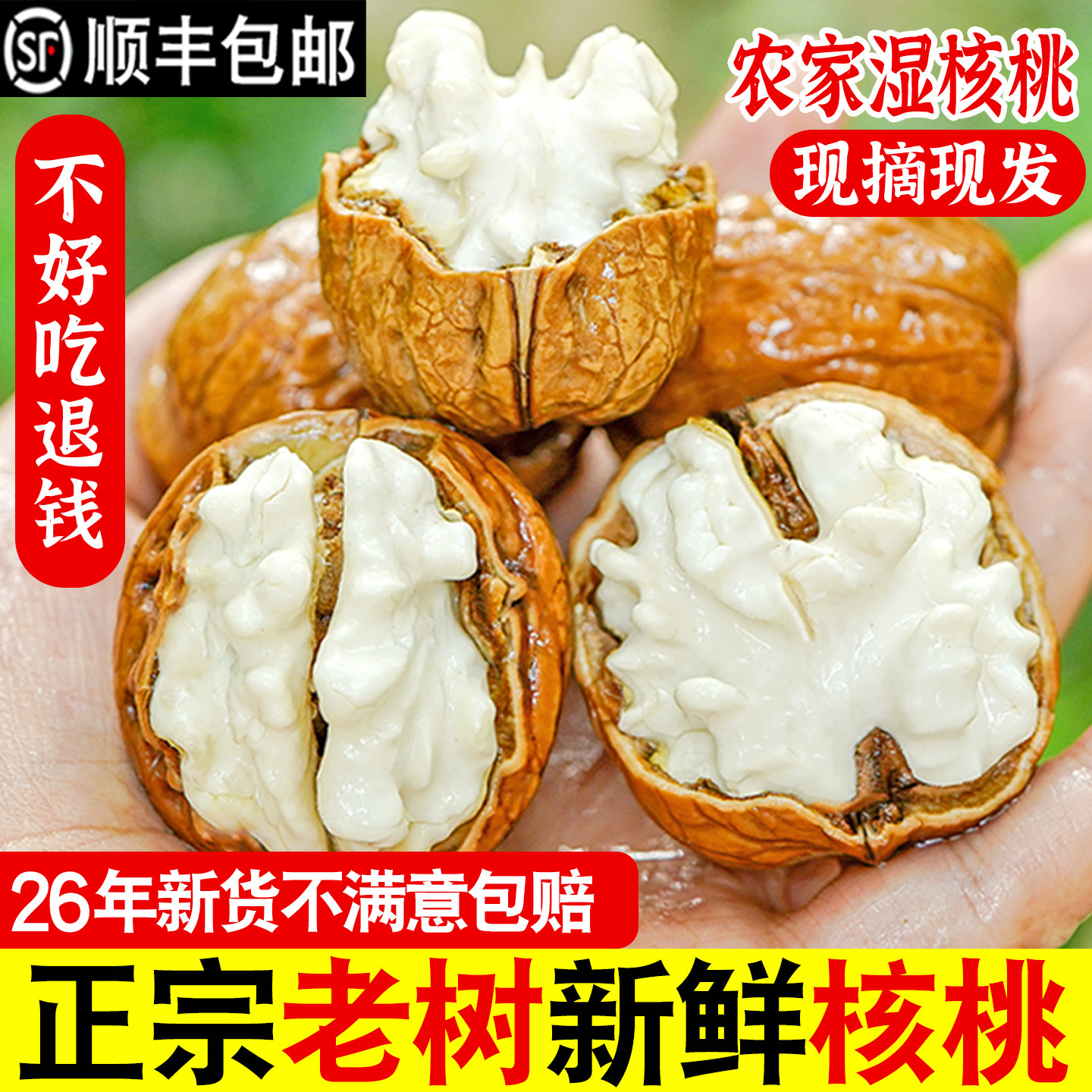 2026年四川老树新鲜湿核桃去青皮非纸皮薄皮核桃现摘现发5斤新货