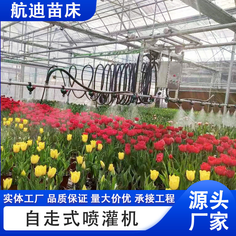 温室大棚灌溉系统移动喷灌机节水灌溉机农用移动喷灌机育苗洒水车