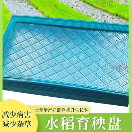 新款水稻育秧盘稻谷育苗盘7寸9寸塑料机插育苗盘机插平底盘软盘