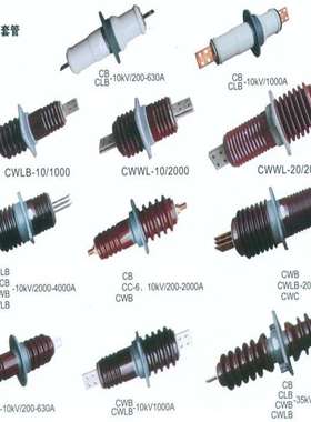CWL-35/1600    CWWL-12/250-2  瓷穿墙套管   厂家直供