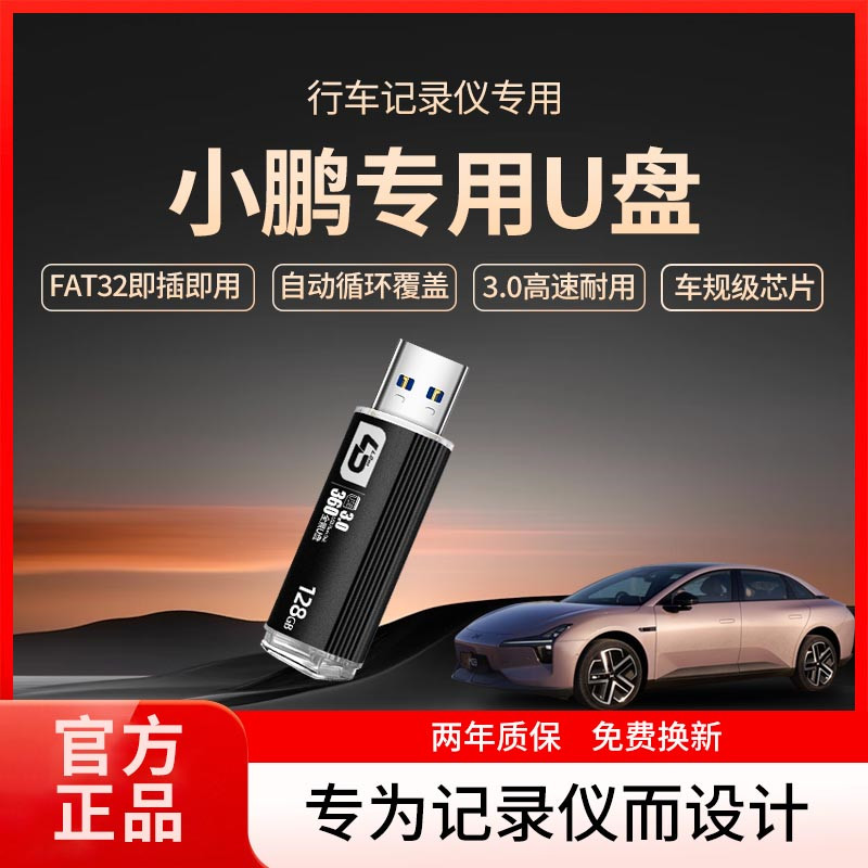 适用小鹏全系行车记录仪U盘哨兵