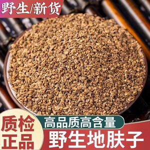 地肤子中药材正品新货500g地夫子地肤籽茶泡水喝功效作用旗舰店