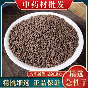 急性子中药材500克正品新货精选非野生凤仙花子指甲花籽金凤花籽