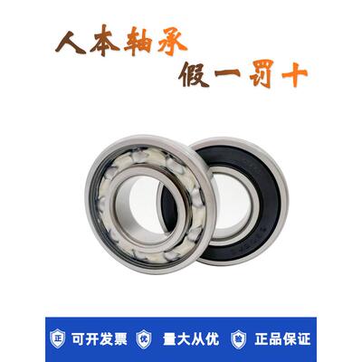 人本轴承高速耐高温低温6300 6301 6302 6303 6304 6305 6306 ETK