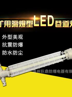 DGS24/127L矿用隔爆型LED巷道灯24W/T型隧道用防爆灯127V防爆灯棒