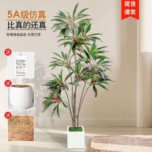 仿真绿植高端假树植物盆栽小叶天鹅绒室内客厅落地摆件家居仿真花