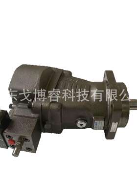 brevini布雷维尼柱塞油泵H1C040 H1V75CL2/1SX H1VP55/75/108/160