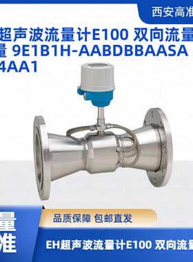 超声波流量计E100 双向流量测量 9E1B1H-AABDBBAASAA14AA1