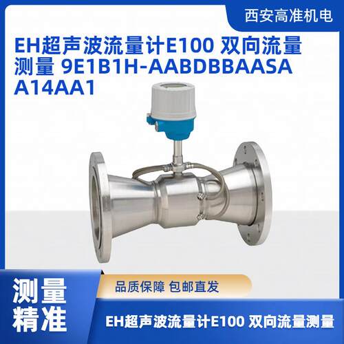 超声波流量计E100 双向流量测量 9E1B1H-AABDBBAASAA14AA1