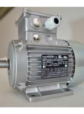 供应意大利BONORA电机 IE2电机 IE3电机