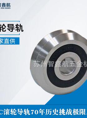 Bishop Wisecarver美国BWC耐低温耐酸碱冷链设备 V形滚轮 W2SS300