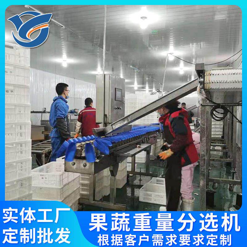 翻盘式鸡爪鸡翅分拣机供应鲍鱼海参重量分选机土豆莲藕称重机