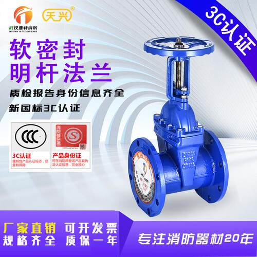 光大厂家直销软密封明杆闸阀法兰密封球墨铸铁Z41X-16Q阀门DN150