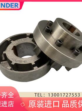 德国FLENDER弗兰德N-EUPEX DS联轴器 80 95 110 120 140 160 180