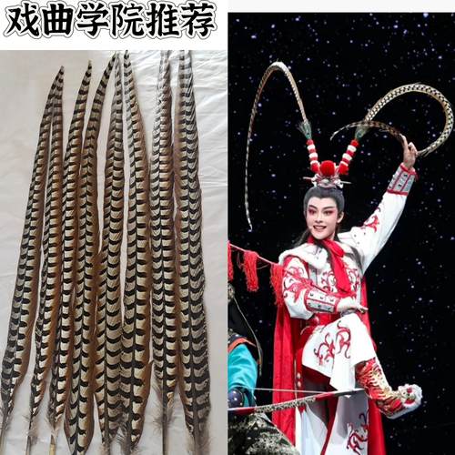 孙悟空花旦头饰鸡翎子紫配件羽毛山鸡毛戏曲京剧穆桂英毛