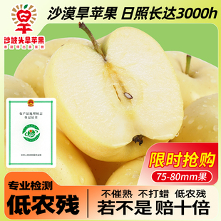 沙坡头旱苹果新鲜水果粉面平果黄金帅鲜果整箱苹果当季黄元帅苹果