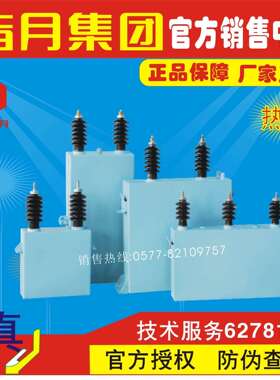 指月高压并联电容器BFM11/3-167-1W,BAM11/3-167-1W,BWM11-167-1