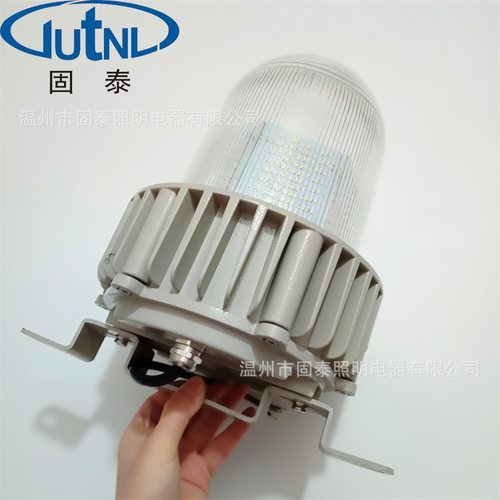 LED三防泛光灯80W/60W化工