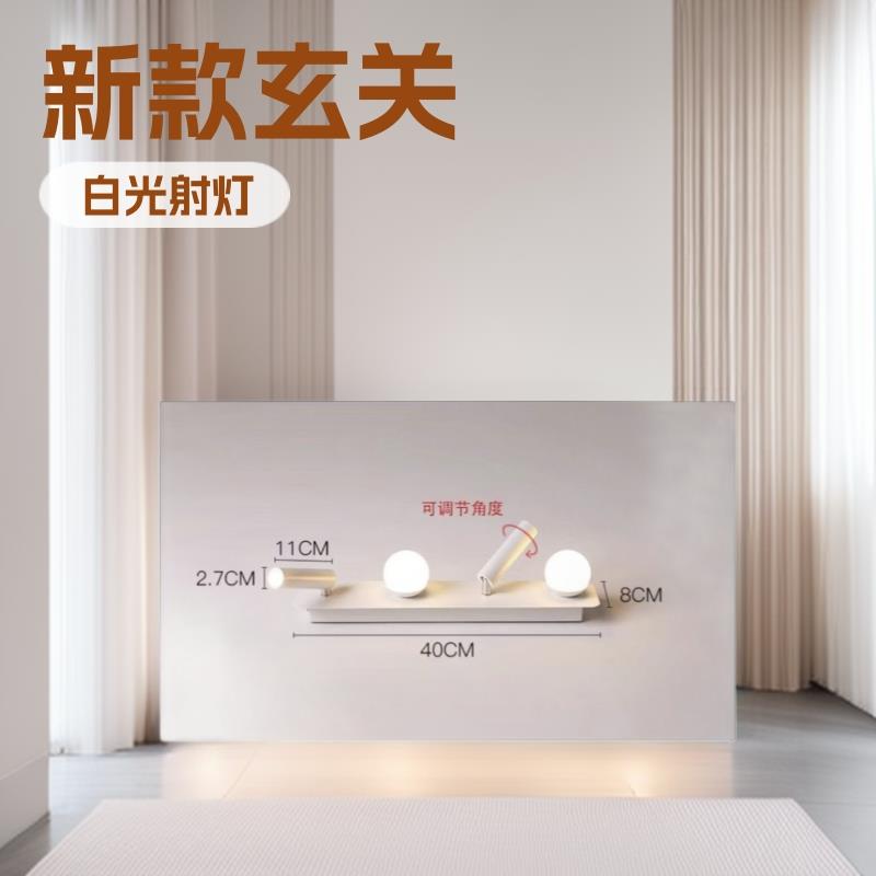 2025新款玄关走廊led吸顶灯现代简约时尚客厅衣帽间卧室灯室内