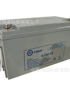 Lesun蓄电池6-FM-65固定型DC12V65AH直流屏使用电瓶