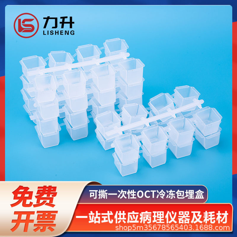 可撕一次性OCT冷冻包埋盒 冰冻切片包埋模具石蜡切片包埋模具一共