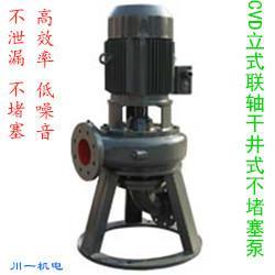 川源CVDC立式联轴式干井式不堵塞泵