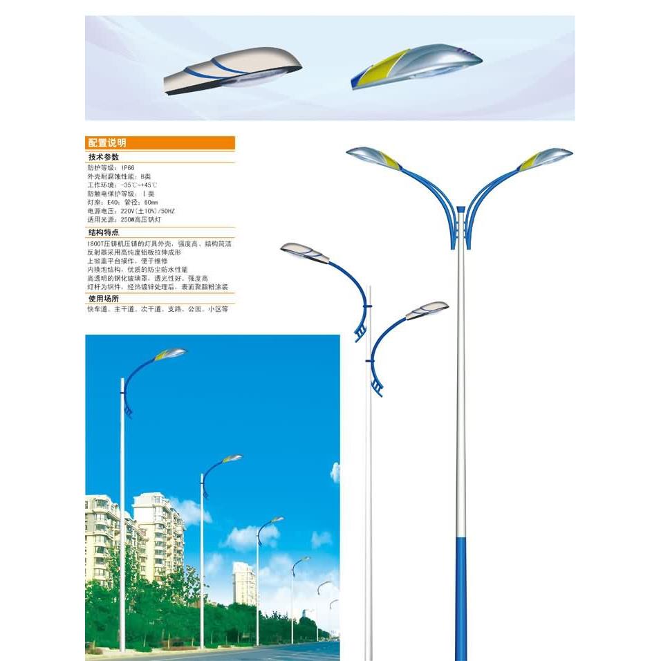 LED路灯，6米路灯园林路灯小区路灯杆