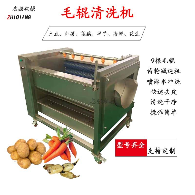 全自动土豆毛辊清洗机不锈钢毛辊清洗去皮机红薯莲藕洋芋去皮机