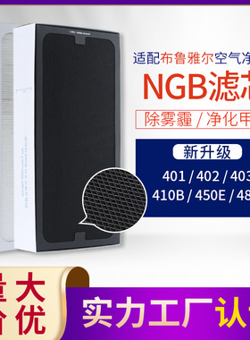 适配布鲁雅尔401/403/410B/450E过滤网复合NGB升级版滤芯