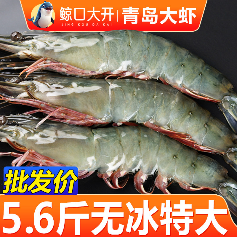 【鲸口大开】青岛气冻大虾大号鲜海蜇