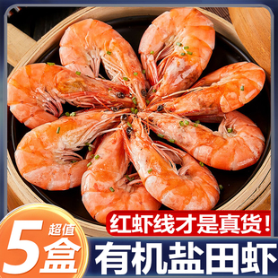 【勿动】大虾渤海湾盐田香虾青虾冷冻熟冻白虾基围即食清蒸白灼家