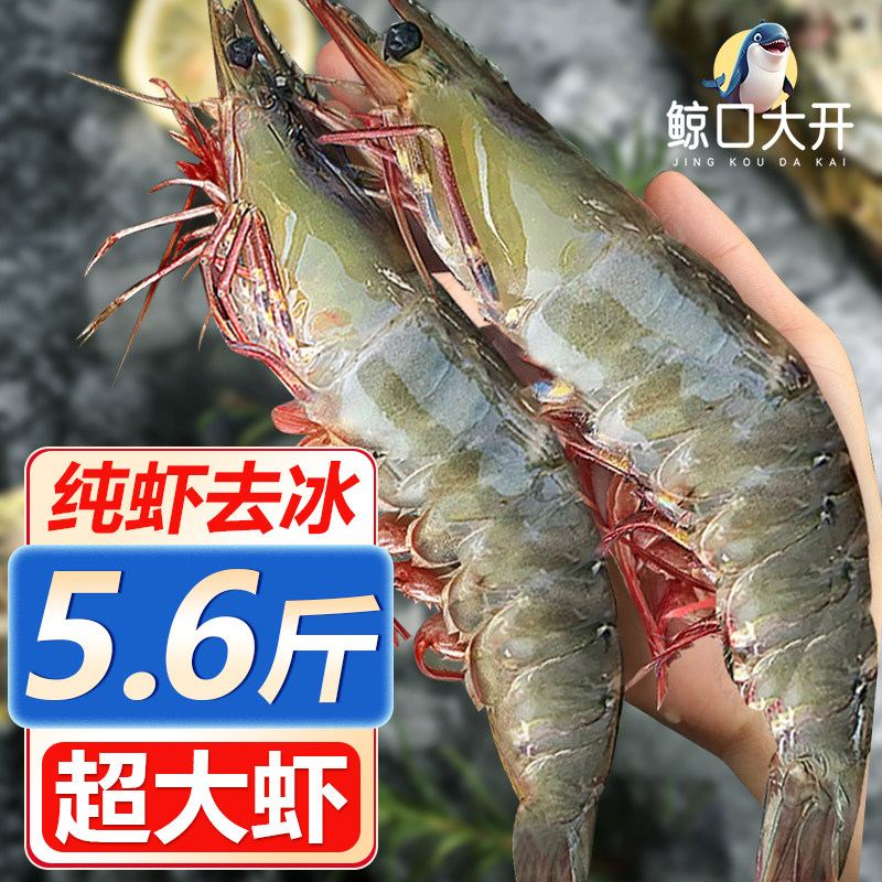 【鲸口大开】渤海大虾冷冻水冻虾生羊腿