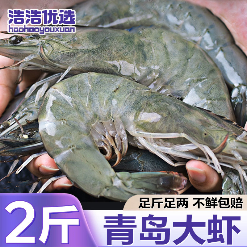 【鲸口大开】青岛大虾大号鲜活新海蜇