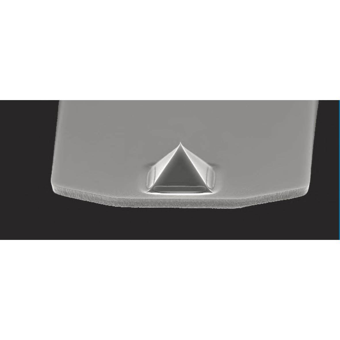 布鲁克Bruker 原子力显微镜AFM探针/碳纳*管探针 MCNT-100