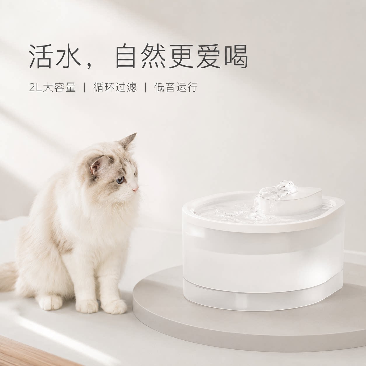 猫狗通用自动循环静音饮水机