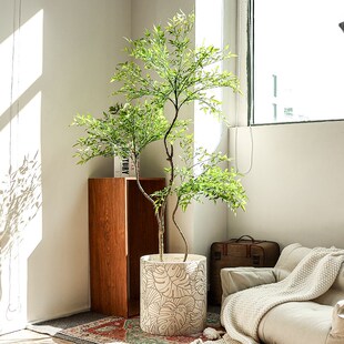 北欧轻奢创意镁泥花盆家用客厅室内大号口径落地南天龟背竹黑金刚