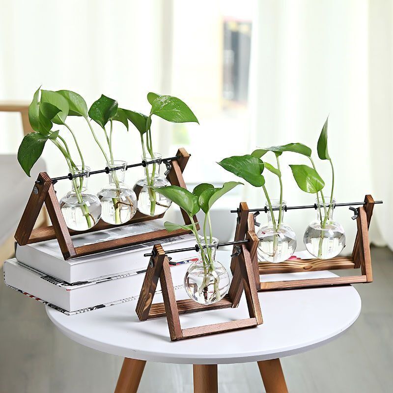 新疆包邮透明简约创意水培植物玻璃花瓶绿萝办公室桌面绿植摆件
